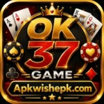 OK 37 Game