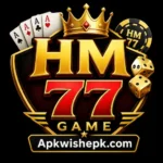 HM 77 Game