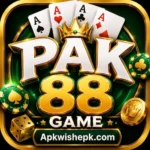 PAK 88 Game